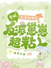 华夏星宇(北京)文化传播有限公司